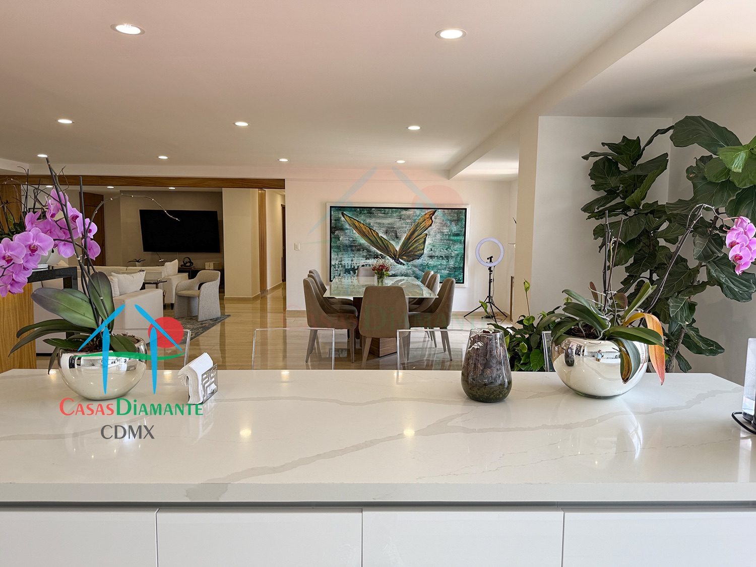 Río Magdalena Magda BFJ - Cocina 8